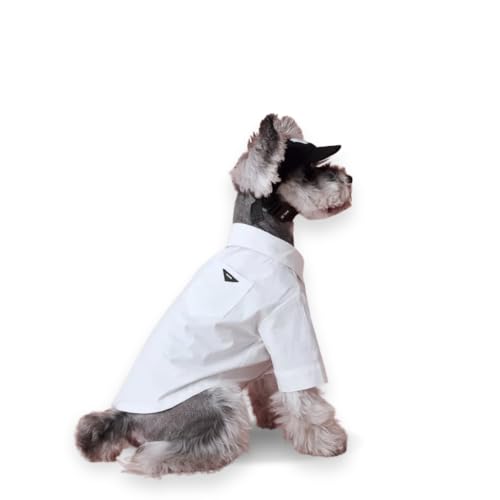 Luxury Pet Dress Shirt – White Designer Button-Up Outfit, Custumes, Formal Dog Shirt for Wedding, Birthday Party, Photoshoot, Puppy & Kitten Fashion Apparel (Medium 5.6–8.8 lbs)