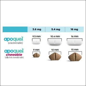 Mascotas y Accesorios MX Generic Apoquel 16 MG 20 Chewable Tablets, Allergic or atopic dermatitis in Large Dogs