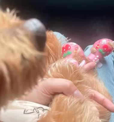 Cute Summer Dog Shoes Sweet Cherry Puppy Sandals Pet Jelly Shoes Flats, Dog Booties Paw Protector for Summer Hot Pavement (Candy Pink, #1: 1.57''x1.37''(Length*Width))