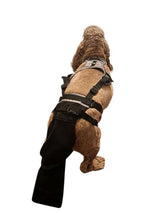 K9 TailSaver: Large Happy Tail Protector for Labrador, Golden Retrieve, Pitty, Doodles – Check Size Chart Image for FIT