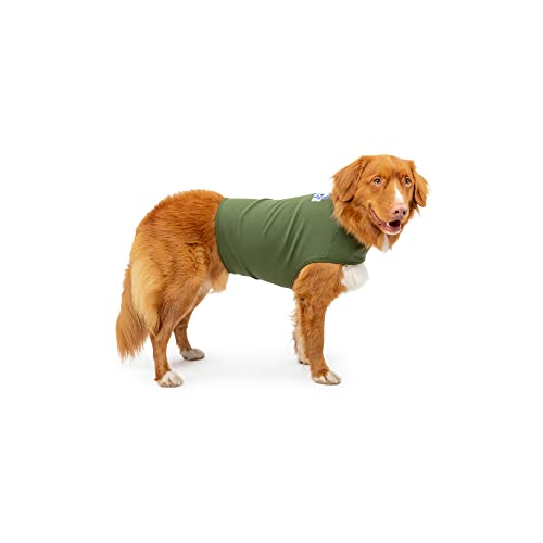 Mellow Shirt Dog Anxiety Calming Wrap, Medium, Cypress
