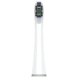 Colgate 360 Advanced Whitening Electric Toothbrush Replacement Head, 2 Count
