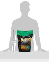 RoudyBush Daily Maintenance Bird Food, Nibles, 10-Pound (210NIDM)