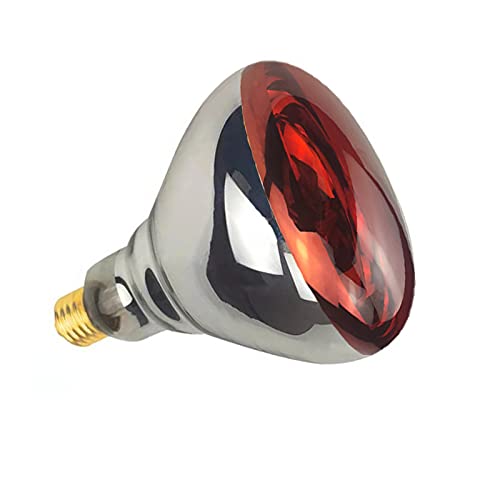 BONGBADA 2 Pack 250W Heat Lamp Red Infrared Bulbs Glass Lamp Bulb for Food Service, Brooder Bulb, Chicks, Pet, Bathroom, Light Therapy Use E26 Base, Flood Light Heat Lamp.