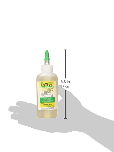 Rockwell Labs ITAB004 InTice Thiquid Ant Bait, 4 Ounce