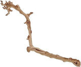 Exo Terra Forest Branch, Large