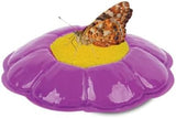 Insect Lore Butterfly Garden Kit, Painted Lady Butterfly Kit with Voucher for Live Caterpillars, Butterfly Habitat, STEM Journal & More