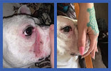 Squishface Wrinkle Wipes – 5”x7” Large Dog Wipes - Deodorizing, Tear Stain Remover – Great for English Bulldog, Pugs, Frenchie, Bulldogs, French Bulldogs & Any Breed! (80 Count)