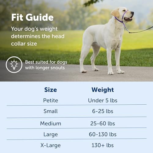 PetSafe Gentle Leader No-Pull Head Collar for Dogs, Dog Head Collar - The Ultimate Solution to Pulling, Padded Nose Loop, Quick-Snap Neck Strap, Dog Halter, Large - Black