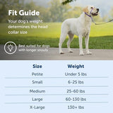 PetSafe Gentle Leader No-Pull Head Collar for Dogs, Dog Head Collar - The Ultimate Solution to Pulling, Padded Nose Loop, Quick-Snap Neck Strap, Dog Halter, Large - Black