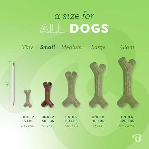 Benebone Maplestick Durable Dog Chew Toy for Aggressive Chewers, Real Maplewood, Made in USA, Small