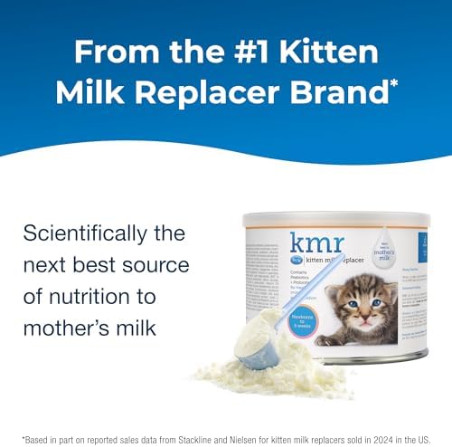 PetAg KMR Kitten Milk Replacer Powder - 6 oz - Powdered Kitten Formula with Prebiotics, Probiotics & Vitamins for Kittens Newborn to Six Weeks Old - Easy to Digest