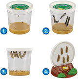 Insect Lore Butterfly Farm™ | Butterfly Kit with Live Cup of Caterpillars | 5 Caterpillars, Reusable Habitat, STEM Butterfly Journal & More