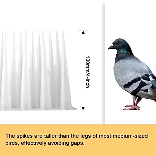OFFO Bird Spikes Pigeon Outdoor Deterrent Spikes for Cat Keep Birds Raccoon Woodpecker Away Covers 40 Feet(12.2m), Frosted White