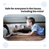 Home and Country USA Humane Mouse Trap. Our Catch and Release Mouse Traps are Designed as a Live Mouse and Rat Trap for Those who Want to Remove mice The Right Way. (Large and Small)(1 Large)