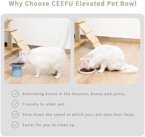2 Extra Wide Elevated Cat Food Bowl, Ceramic Cat Bowls for Food and Water, Wide Shallow Cat Food Dish, Whisker Fatigue, Lead & Cadmium Free, Great Height for Cat, Blue