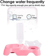 MILIFUN Double Dog Cat Bowls - Pets Water and Food Bowl Set, 15°Tilted Water and Food Bowl Set with Automatic Waterer Bottle for Small or Medium Size Dogs Cats