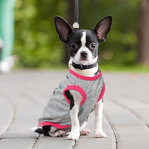 4 Pieces Dog Clothes for Small Dogs Girl Boy Summer Puppy Clothes for Chihuahua Yorkie Soft Cute Pattern Dog Shirt Spring Pet Cat Clothing Pink Rose Red Green XXS~M (Pink,Rose,Black,Grey, Medium)