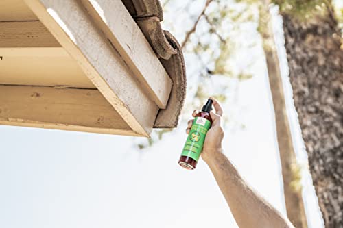 Donaldson Farms Carpenter Bee Repellent Spray, 8oz, All Natural for Outdoor Wood & Furniture, Citrus Oil Spray