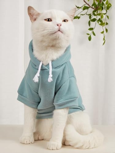 QWINEE 2Pcs Basic Dog Hoodie, Dog Warm Jacket, Cat Apparel, Dog Shirt, Dog Clothes for Puppy Kitten Small Medium Dogs Cats Pink and Green X-Large