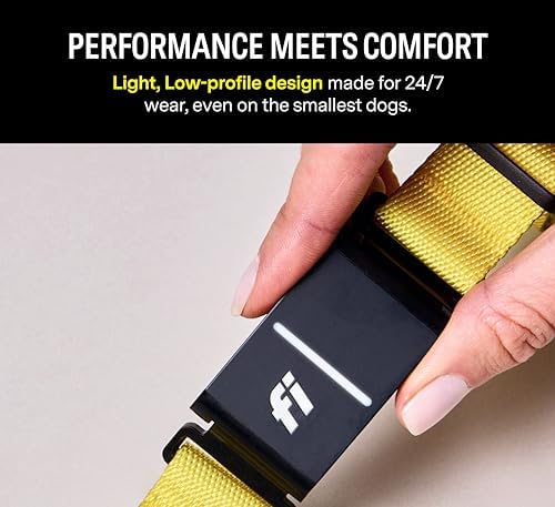 Fi Series 3 Smart Dog Collar - GPS Dog Tracker and Activity & Health Monitor, Waterproof, LED Light, Escape Alerts, Nationwide Coverage [Free 1 Year Membership] (Blue, Large)