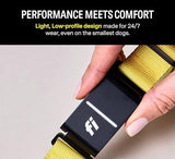 Fi Series 3 Smart Dog Collar - GPS Dog Tracker and Activity & Health Monitor, Waterproof, LED Light, Escape Alerts, Nationwide Coverage [Free 1 Year Membership] (Blue, Large)