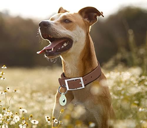 Adjustable Dog Collar with Airtag Holder: Durable Dog Collars, Soft Rubber Coated Webbing, Waterproof and Easy to Clean, for Small Medium Large Dogs(L|15"-19" × 1 in, Coca Mocha)