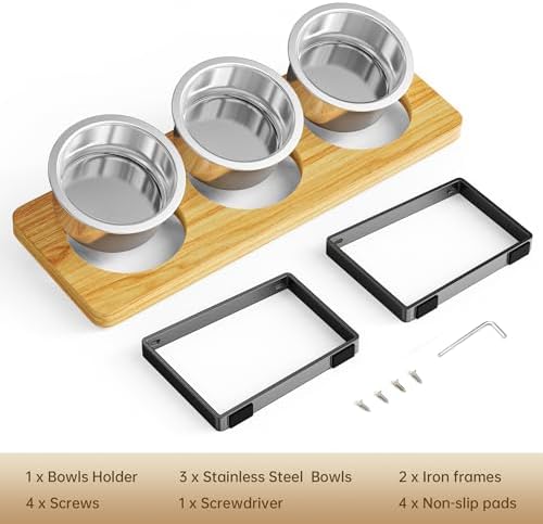 Elevated Cat Bowls with 3 Stainless Steel Bowls | 10° Tilted Anti-Vomiting Raised Cat Food Bowls for Small Cats and Puppies Pet Bowls with Stand