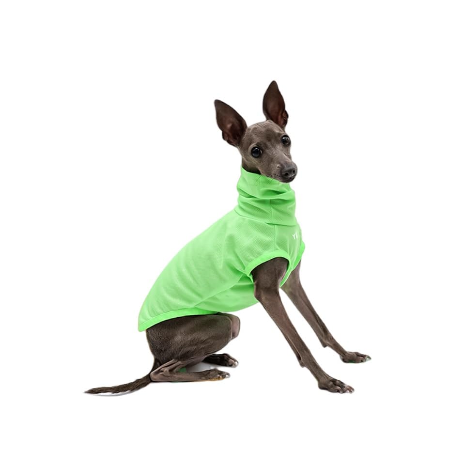 Italian Greyhound Clothes, Lightweight & Breathable Sun Protection Tank Tops for Italian Greyhound and Whippets Dogs (Green, X-Small)
