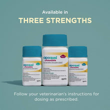 Load image into Gallery viewer, Apoquel Chewable (oclacitinib chewable Tablet) for Dogs, 16 mg, 30 Tablets
