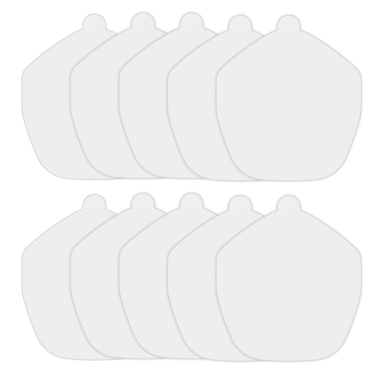 10 PCS Refill Glue Boards Sticky Glue Pads for Fruit Fly Trap Indoor