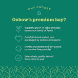 Oxbow Western Timothy Hay, Guinea Pig Hay, Small Pet Bunny Supplies, All Natural Grass for Guinea Pig, Bunny, Chinchilla & Hamster, Oxbow Rabbit Supplies for Bunnies, 90 oz. bag