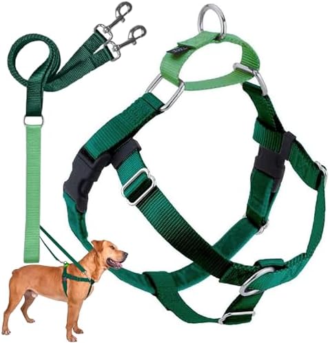 2 Hounds Design Freedom No Pull Dog Harness, Adjustable Harness and Leash Set, Easy Walking & Comfortable Control, Fits Small, Medium & Large Dogs, Solid Colors, Made in USA, 1" MD, Kelly Green