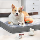 Interactive Hide and Seek Squeaky Dog Plush Toy, Rabbit and Carrot, Orange and White, 5-Pack