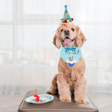 ADOGGYGO Dog Birthday Bandana Scarf and Dog Girl Boy Birthday Party Hat with Cute Dog Bow Tie for Small Dog Cat (Small, Blue)