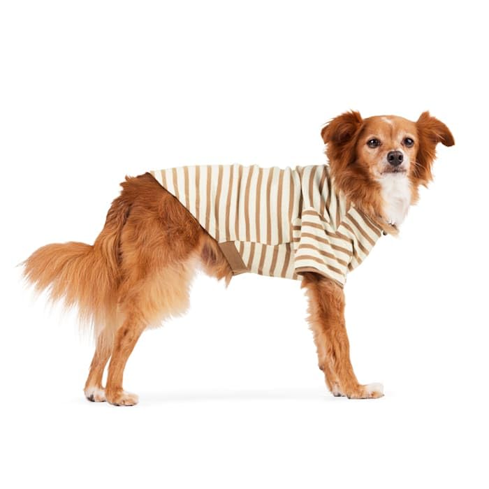 Reddy Stripe Tee for Dogs Tan Large
