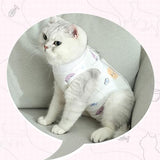 2 PCS Cat Recovery Suit for Spay Abdominal Wounds Cat Onesie for Cats After Surgery Recovery Suit Female Breathable E-Collar Alternative Kitten Onesie Anti Licking (Medium)