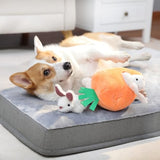 Interactive Hide and Seek Squeaky Dog Plush Toy, Rabbit and Carrot, Orange and White, 5-Pack