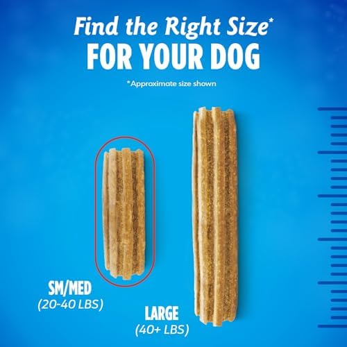 DentaLife Plus Digestive Support Dog Treats for Small and Medium Dogs, Cleans Teeth, Freshens Breath, & Supports Healthy Gut, Chicken & Pumpkin Flavor, 14.4 oz., 19 Chews - 19 ct. Pouch
