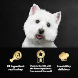 CESAR Adult Wet Dog Food Classic Loaf in Sauce Turkey Recipe, 3.5 oz. Easy Peel Trays, Pack of 24