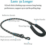 iYoShop Dual Dog Leash, 360 Swivel No Tangle Walking Leash, Shock Absorbing Bungee for Two Dogs, Black, Medium (8-35 lbs)
