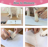 EXPAWLORER Anti-Slip Dog Socks to Prevent Licking Paws,Dog Shoes for Hot/Cold Pavement,Best Paw Protector Traction Control on Hardwood Floor,Dog Booties for Puppy Small Medium Large Senior Dogs