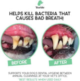 Barkle Dog Teeth Cleaning Gel | Best Dog Tooth Brushing Kit | Vet Reviewed to Eliminate Plaque, Tartar & Bad Breath | Toothpaste Replacement | Dog Breath Freshener | Free Finger Brush (Mint - 60 Days)