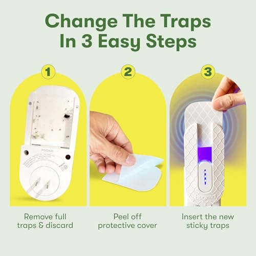 BugMD No Buzz Zone and Refill Trap Bundle - Refillable UV Bug Zapper, Mosquito Zapper, Flying Insect Trap, Bug Catcher, Plug in Fly Trap Indoor, Gnat and Fruit Fly Traps for Indoors Plug in