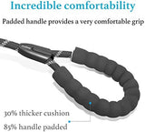 iYoShop Dual Dog Leash, 360 Swivel No Tangle Walking Leash, Shock Absorbing Bungee for Two Dogs, Black, Medium (8-35 lbs)