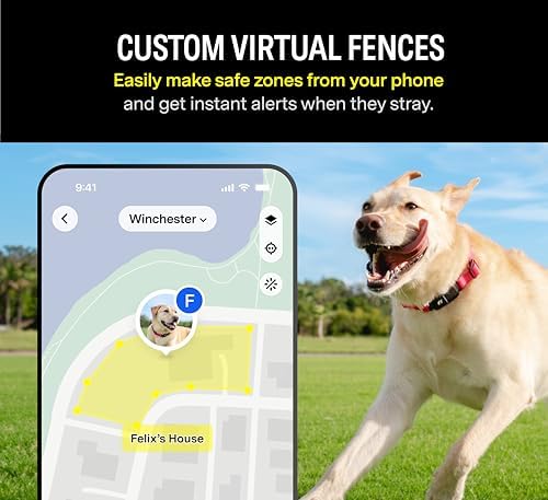 Fi Series 3 Smart Dog Collar - GPS Dog Tracker and Activity & Fitness Monitor, Waterproof, LED Light, Escape Alerts, Nationwide Coverage [Free 6 Month Membership] (Yellow, X-Small)