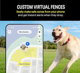 Fi Series 3 Smart Dog Collar - GPS Dog Tracker and Activity & Fitness Monitor, Waterproof, LED Light, Escape Alerts, Nationwide Coverage [Free 6 Month Membership] (Pink, Medium)
