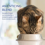 INABA Churu Stew for Cats, Broth Gelée with Shredded Chicken Side Dish Pouch with Vitamin E, 1.4 Ounces per Pouch, 12 Pouches, Chicken Variety