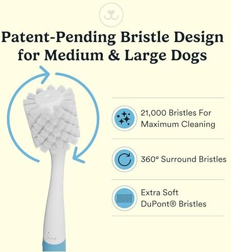 Jasper Macrobrush 360º, Dog Toothbrush for Medium to Large Dogs, Soft-Bristled Dog Tooth Brushing Kit - Premium Non-Slip Handle with 2 Replaceable Tooth Brush Heads, Use with Pet Toothpaste