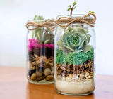 Portland Terrarium kit - DIY Mason Jar Terrarium Kit